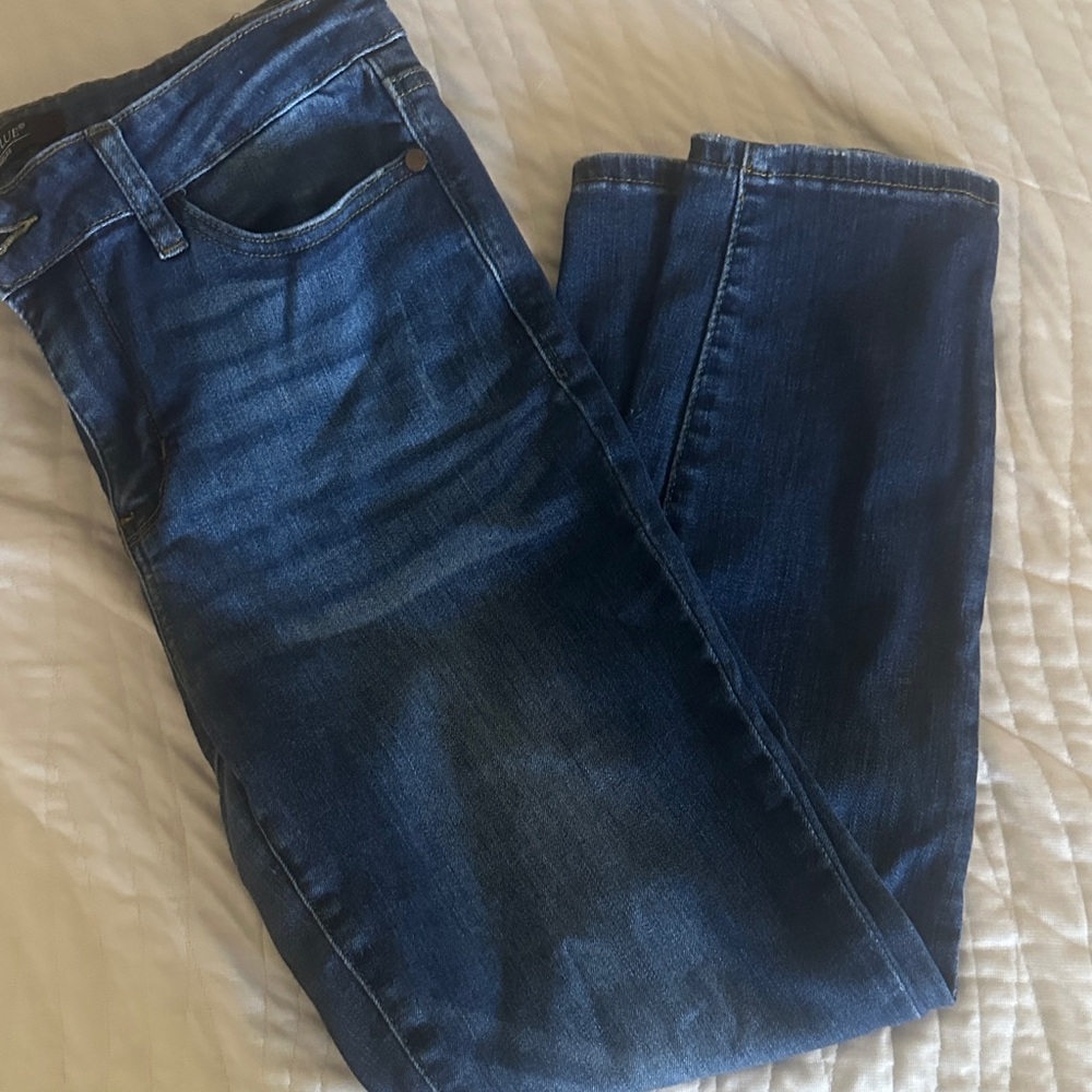 Judy Blue Indigo Straight Jeans